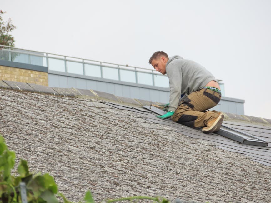 asphalt shingle roof fix