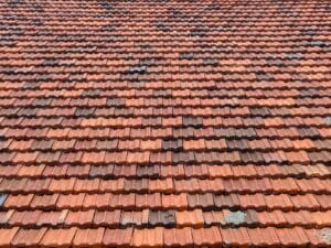 cracked roof tile